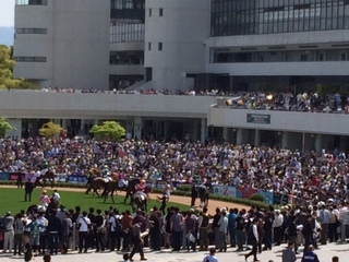 京都競馬場.jpeg